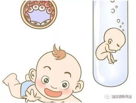 胚胎培养